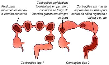 Muco nas Fezes (e outras alterações na aparência)